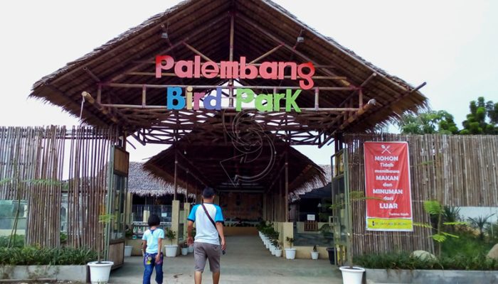 Palembang Bird Park, Disini Burungnya Senang Kalo di Belai